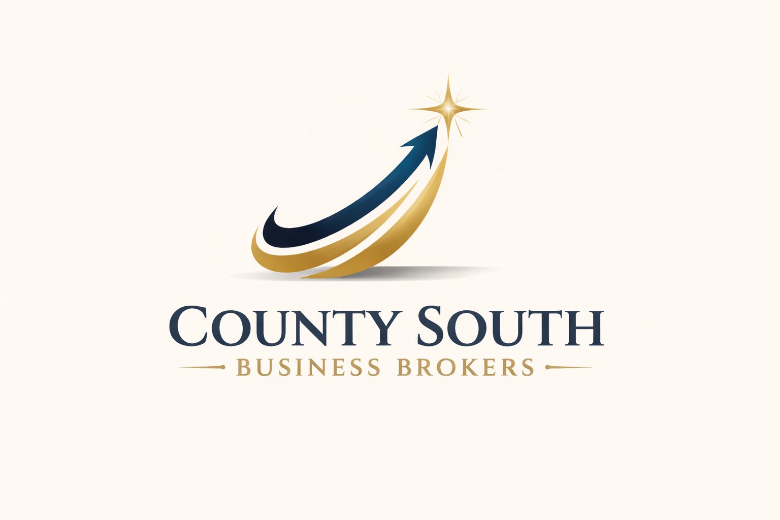 County South Business Brokers